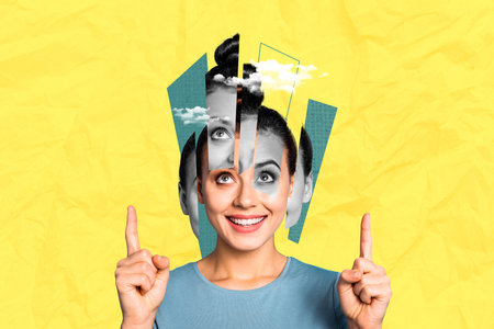 Composite photo collage of smile girl parts face bipolar disorder psychology schizophrenia illness...