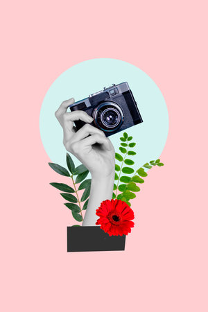 Vertical photo collage of hand hold retro camera take photo shoot rare flower botany explore gerbera bloom isolated on painted backgroundの写真素材