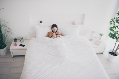 Full size above view photo of cute little girl sleep teddy bear toy wear pajama comfy bed bedroom flat indoorsの写真素材