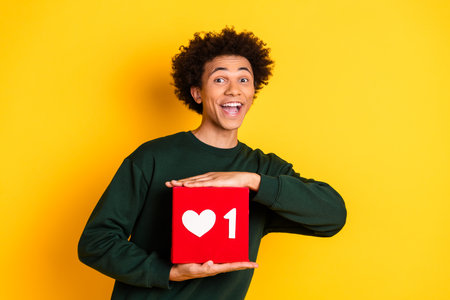 Portrait of nice young man hold like icon wear sweater isolated on yellow color background