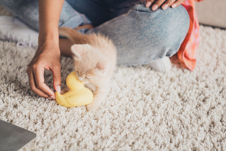 Cropped photo of woman hands playing baby cat rubber duck indoors house apartment room