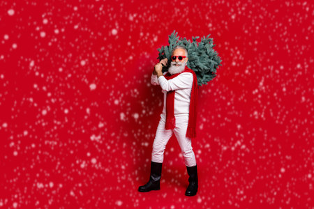 Full length body size view portrait nice handsome virile strong confident cheerful gray-haired man wearing pullover sweater festal heavy tree woodcutter isolated on bright vivid shine red backgroundの写真素材