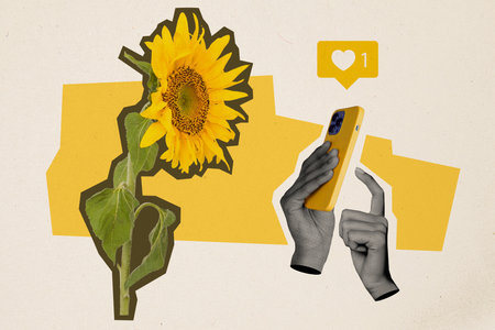 Trend artwork composite sketch image photo collage of silhouette hand hold flower sunflower spring...