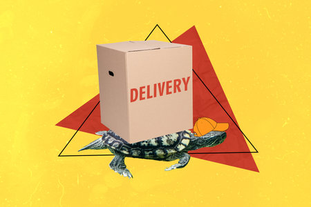 Creative image collage wild animal reptile turtle crawl delivery service carton box shipment express order mail purchase headwear capの写真素材