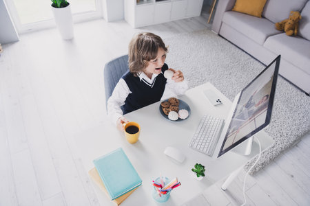 Portrait of adorable cute schoolkid sit chair desktop listen video lesson courses distance education from home indoorsの写真素材