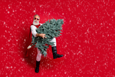 Full length photo of cheerful pensioner with eyeglasses eyewear moving holding fir tree wearing white pullover pants boots isolated over red backgroundの写真素材