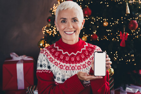 Photo of nice aged woman hold show empty space smart phone screen christmas festive illumination apartment indoorsの写真素材