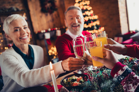 Cropped photo of four peaceful family members click champagne juice glass celebrate christmas dinner apartment indoorsの写真素材