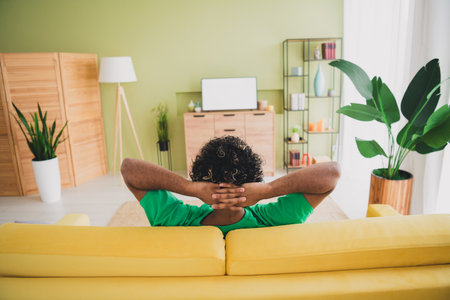 Rear portrait of nice young man sit sofa empty space tv display wear t-shirt modern green interior flat indoorsの写真素材