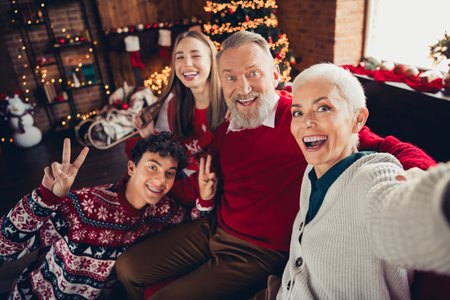 Portrait of four family members make selfie have good mood xmas new year eve enjoyment home flat...