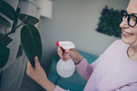 Photo of shiny cute woman dressed pink sweatshirt enjoying cleaning flower indoors house apartment roomの写真素材