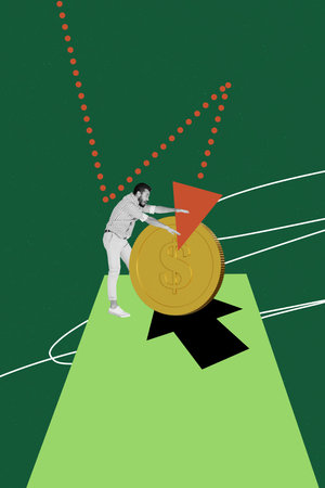Photo vertical image collage of shocked inexperienced guy stand coin dollar inflation arrow reduction problem collapse crisisの写真素材