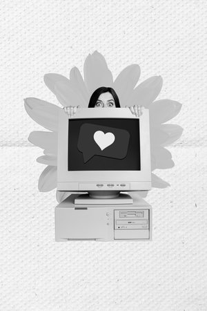 Creative photo 3d collage artwork poster picture of scared girl behind monitor ignore followers...