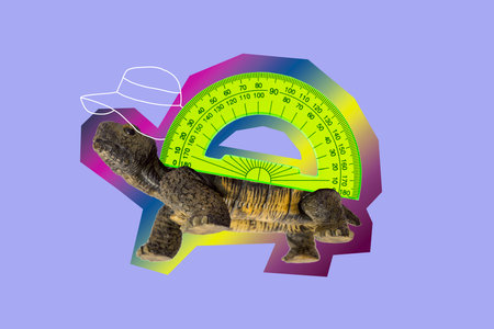 Creative composite sketch design artwork collage of surreal animal turtle wildlife walk carry ruler...