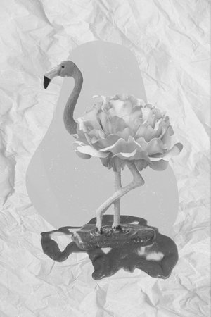 Creative collage banner of pink funny flamingo standing on one legs water nature flora fauna conservation conceptの写真素材