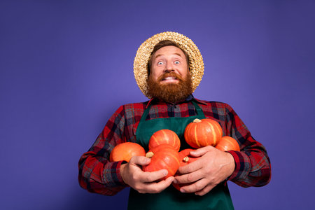 Photo of crazy joyful man gardener wear checkered shirt hold harvest many ripe gourds isolated on purple color backgroundの写真素材