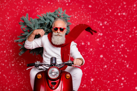 Portrait of handsome old hipster with eyewear eyeglasses carrying fir tree drive bike wearing white jumper trousers pants isolated over red backgroundの写真素材