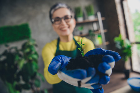 Photo of nice elderly lady hands hold soil sprout wear green apron enjoying gardering indoors home business workplaceの写真素材