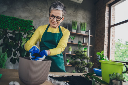 Photo of pensioner lady florist repotting flower wear green apron working flower shop studio small businessの写真素材
