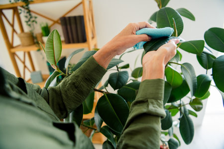 Cropped photo of lady hands arms wear khaki shirt cleaning flower leaves indoors room home house