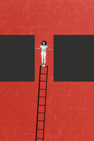 Exclusive image vertical photo collage of shocked businesswoman climb career ladder unexpectedness success development goalの写真素材