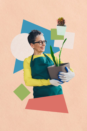 Vertical art creative collage of happy old woman florist hold plant pot flower nursing hobby care houseplant cactus decorの写真素材