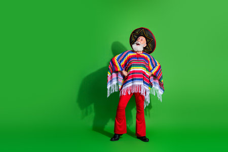 Charismatic elderly man in vibrant Mexican-inspired attire with sombrero and poncho celebrating traditionsの写真素材