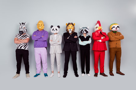 Full body portrait of zebra gorilla raccoon lion panda sloth rooster mask people folded arms isolated on grey color backgroundの写真素材
