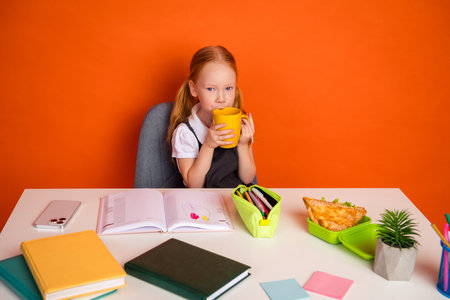 Schoolgirl enjoying a drink while studying in a bright setting with stationery, books, and lunch on the deskの写真素材