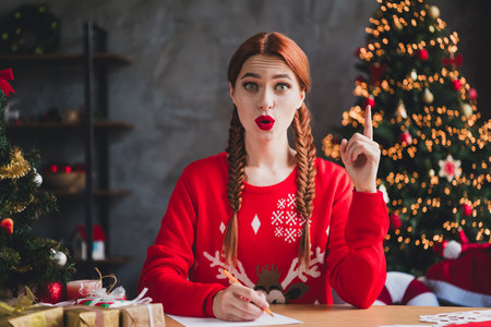 Portrait of nice young woman write letter point finger wear sweater new year x-mas time flat indoorsの写真素材
