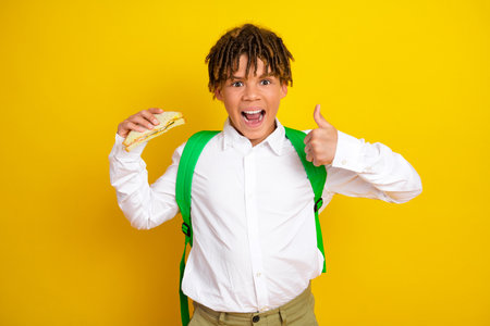 Cheerful schoolboy holding a sandwich with a thumbs up gesture on a yellow background, embracing funの写真素材