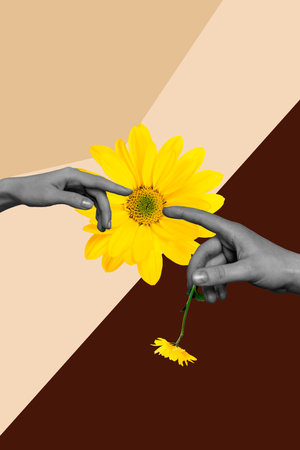 Poster 3d zine image vertical collage of hands gold chamomile chrysanthemum flower bloom celebration summer spring holidayの写真素材