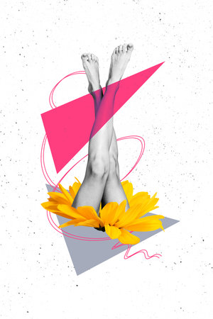 Vertical art image poster 3d banner collage of anonym girl legs shaven smooth skin extract chrysanthemum flower bloom bodylessの写真素材