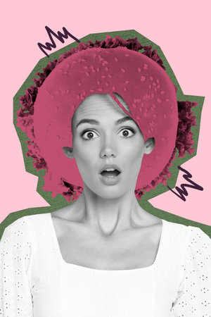 Vertical banner art pop image photo collage of astonished girl instead cheeseburger hairdo salon...