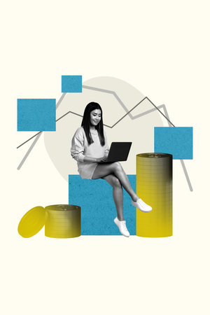 Exclusive artwork banner creative collage of happy businesswoman freelancer surf laptop coin income capital banker profitの写真素材