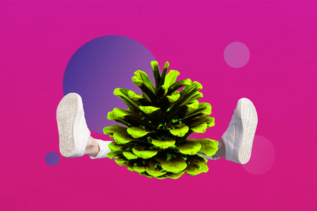 Composite 3D photo collage design trend sketch of copyspace abstract body decoration pine cone...