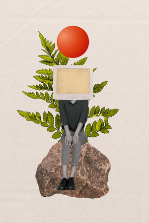 Composite trend artwork 3D sketch image photo collage of headless computer monitor young woman sit rock stone mountain nature plant flowerの写真素材