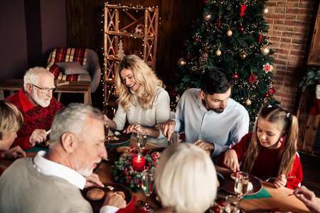 Family Christmas dinner gathered indoors around a festive tree with warm lights and candles celebrating together at homeの写真素材