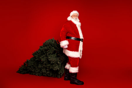 Santa carries a Christmas tree in a bold red studio scene perfect for holiday marketing and festive campaignsの写真素材