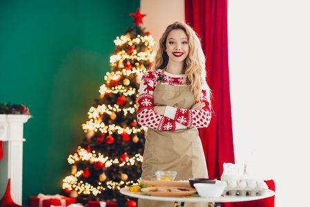 Delightful holiday kitchen scene with a smiling woman in an apron beside a glowing Christmas tree full of lights and treats for a merry cozy festive family momentの写真素材