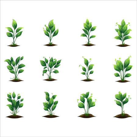 Set of green plants. Isolated on white background. Vector illustration.のイラスト素材