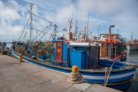 Kalk Bay Harbour, Western Cape Peninsular, South Africaのeditorial素材