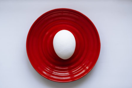 White chicken egg on a red saucer. Still life on a white backgroundの写真素材