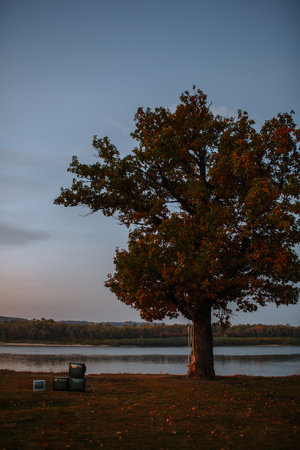 a few old tube TVs, standing in a cluster next to a lone tree against the river. Sunriseの写真素材