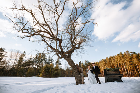 Two lovers standing in a winter forest against the background of the sunset.の写真素材