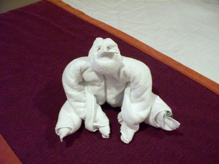 Towel Gorillaの写真素材