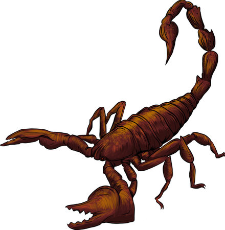 vector realistic scorpion cartoon illustration in white backgroundのイラスト素材