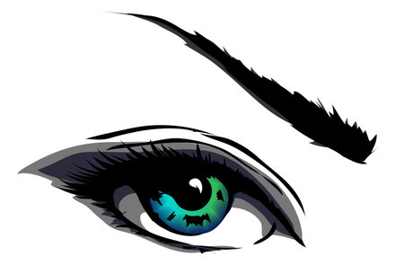 Beautiful Women Eyes with make upのイラスト素材