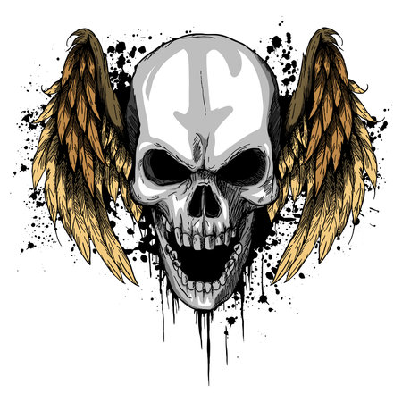 a human Skull with Wings Vector Illustrationの写真素材