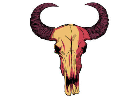 drawing of a bull skullのイラスト素材
